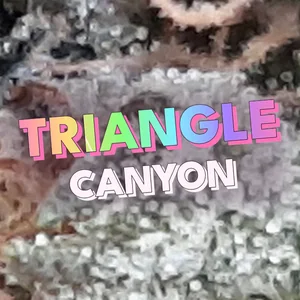 Triangle Canyon Cannabis Strain