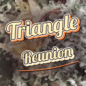 Triangle Reunion Cannabis Strain