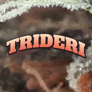Trideri Cannabis Strain