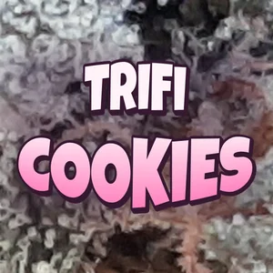 Trifi Cookies Cannabis Strain
