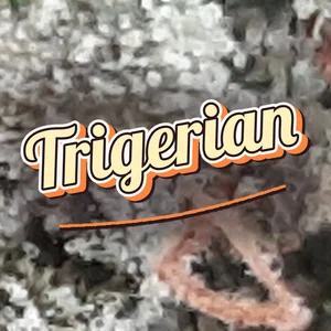 Trigerian Cannabis Strain