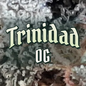 Trinidad OG Cannabis Strain