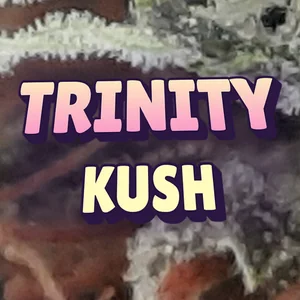 Trinity Kush Cannabis Strain
