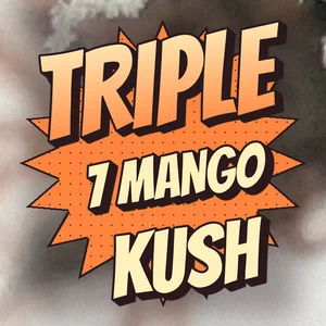 Triple 7 Mango Kush Cannabis Strain