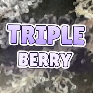 Triple Berry Cannabis Strain