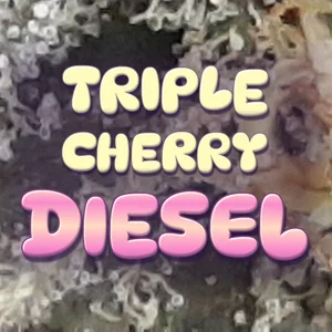 Triple Cherry Diesel Cannabis Strain