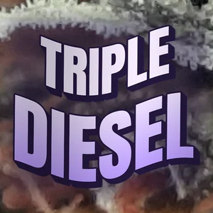 Triple Diesel Cannabis Strain