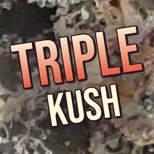 Triple Kush Cannabis Strain