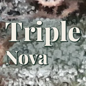 Triple Nova Cannabis Strain