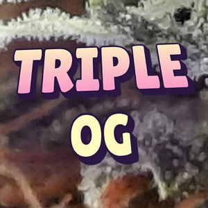 Triple OG Cannabis Strain