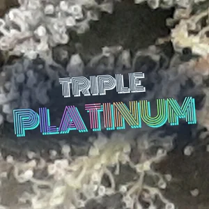 Triple Platinum Cannabis Strain
