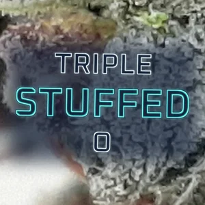 Triple Stuffed O Cannabis Strain