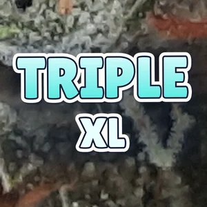 Triple XL Cannabis Strain