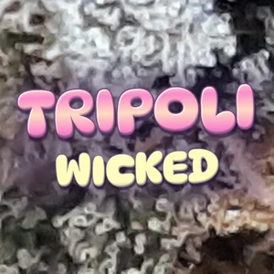 Tripoli Wicked Cannabis Strain