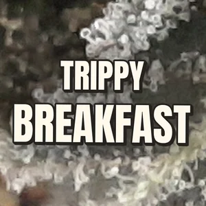 Trippy Breakfast Cannabis Strain
