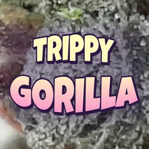 Trippy Gorilla Cannabis Strain
