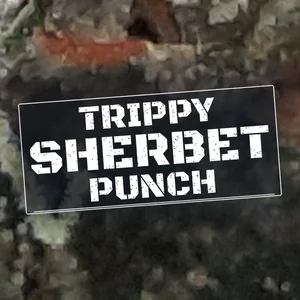 Trippy Sherbet Punch Cannabis Strain