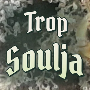 Trop Soulja Cannabis Strain