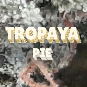Tropaya Pie Cannabis Strain