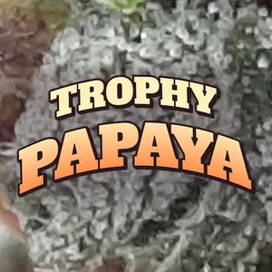 Trophy Papaya Cannabis Strain
