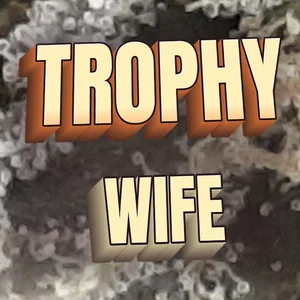 Trophy Wife Cannabis Strain