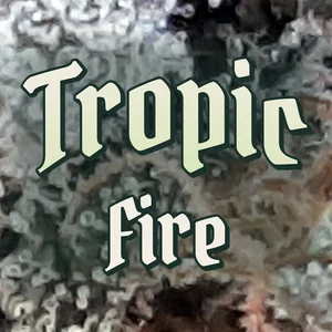 Tropic Fire Cannabis Strain