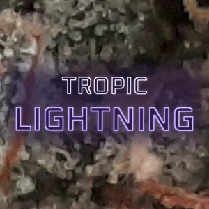 Tropic Lightning Cannabis Strain