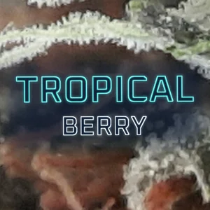 Tropical Berry Cannabis Strain
