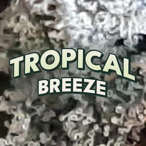 Tropical Breeze Cannabis Strain