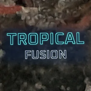 Tropical Fusion Cannabis Strain