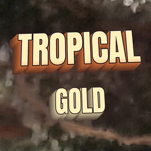 Tropical Gold Cannabis Strain