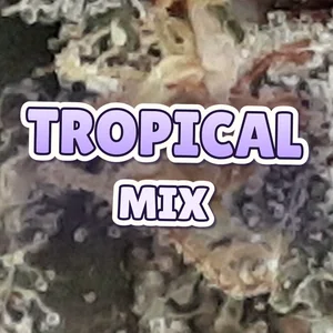 Tropical Mix Cannabis Strain
