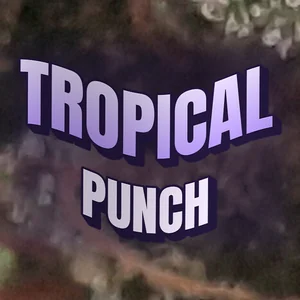 Tropical Punch Cannabis Strain
