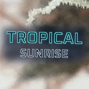 Tropical Sunrise Cannabis Strain