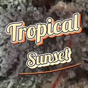 Tropical Sunset Cannabis Strain