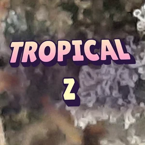 Tropical Z Cannabis Strain