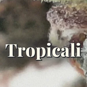 Tropicali Cannabis Strain