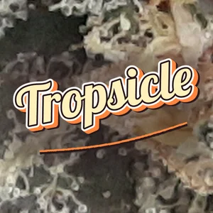 Tropsicle Cannabis Strain