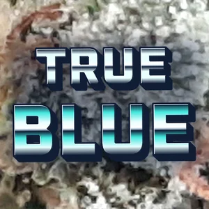 True Blue Cannabis Strain