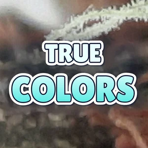 True Colors Cannabis Strain