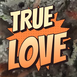 True Love Cannabis Strain