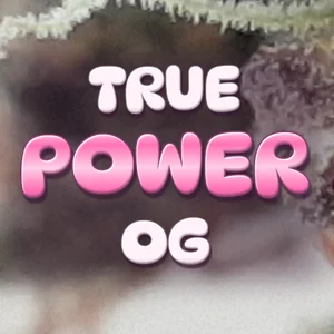True Power OG Cannabis Strain