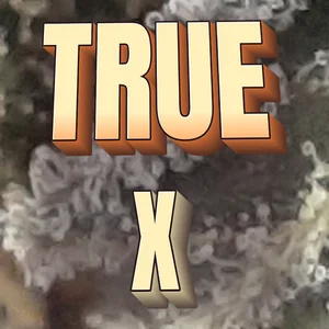 True X Cannabis Strain