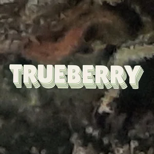 Trueberry Cannabis Strain