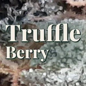 Truffle Berry Cannabis Strain