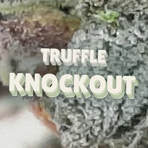 Truffle Knockout Cannabis Strain