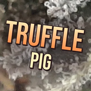 Truffle Pig Cannabis Strain