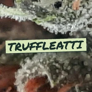 Truffleatti Cannabis Strain
