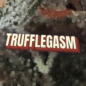 Trufflegasm Cannabis Strain