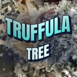 Truffula Tree Cannabis Strain